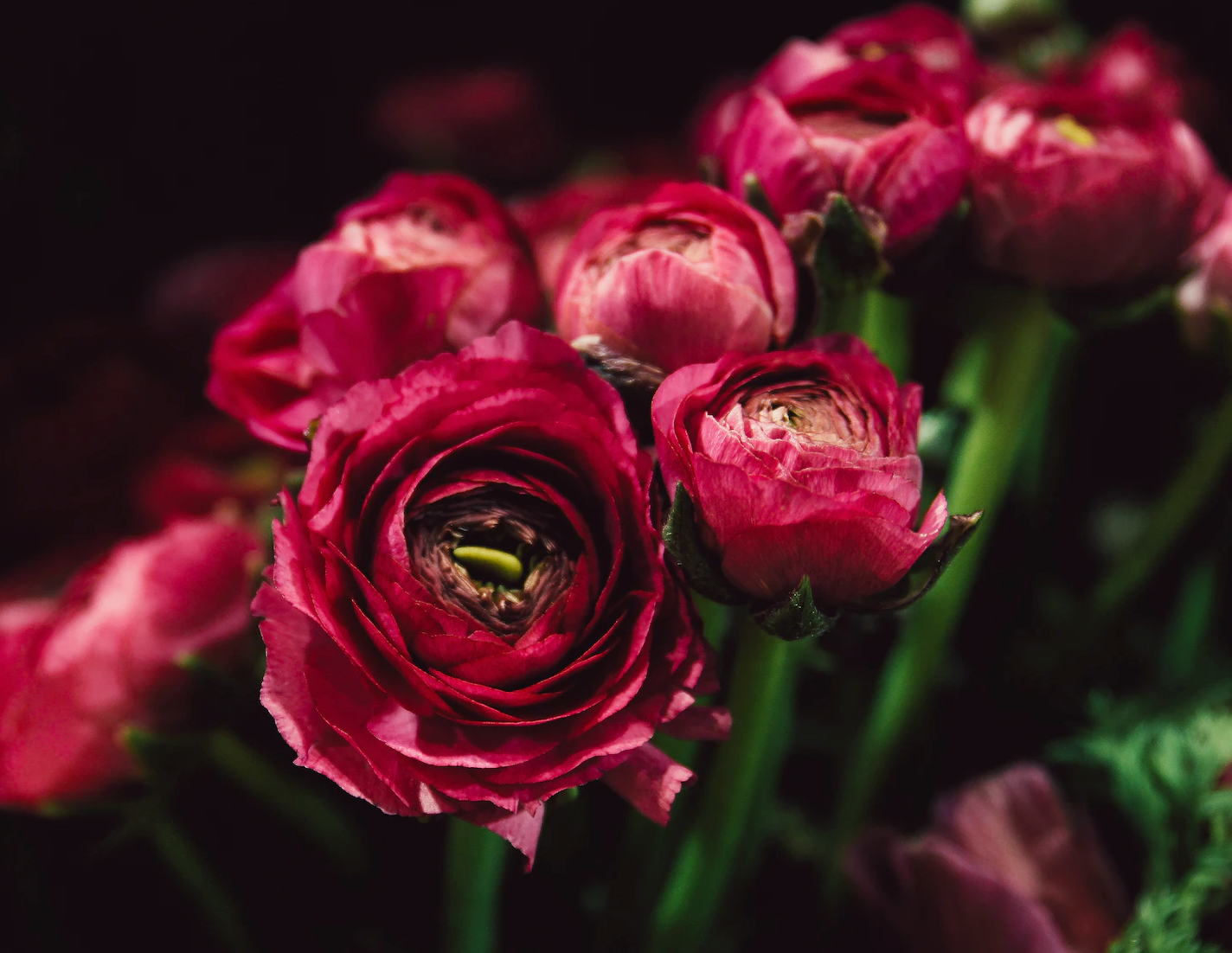 Floral