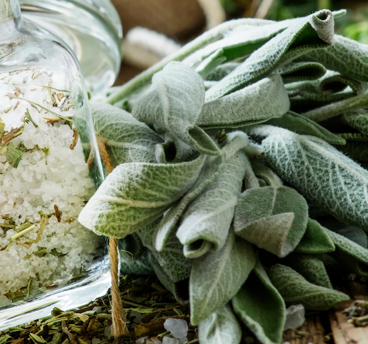 Wood Sage & Sea Salt